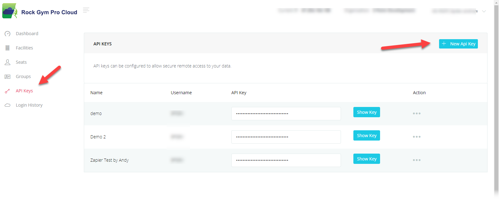 API keys management interface screenshot.